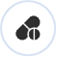 PHM Icon